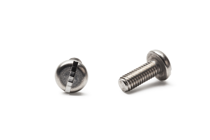 Slotted Pan Head Screw with low head A4-70